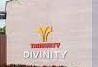 Trimurty Divinity